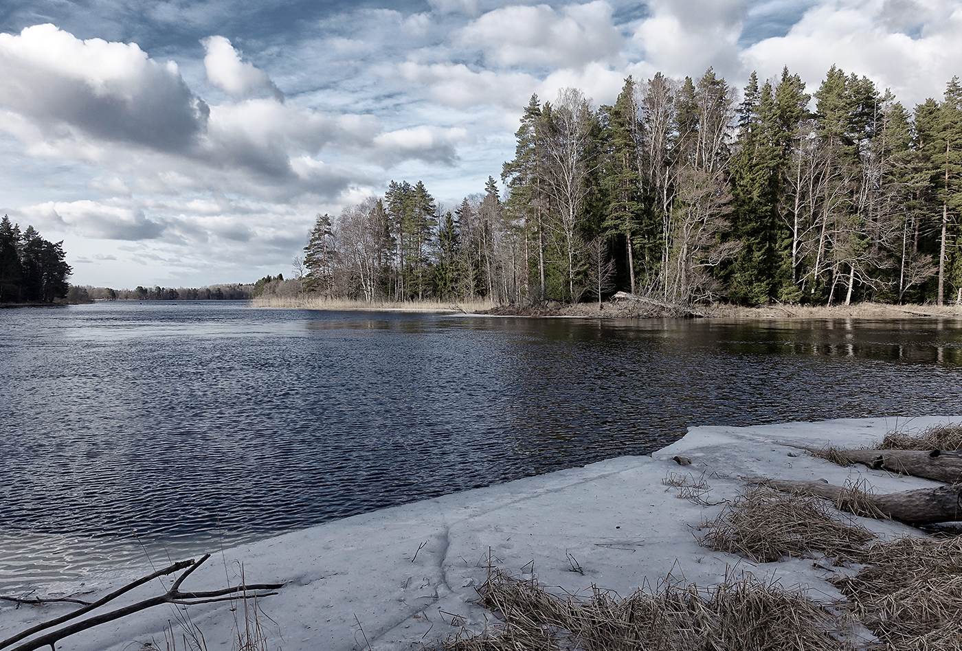 Färnebofjärden National Park by Mike Jones | Marlow Camera Club